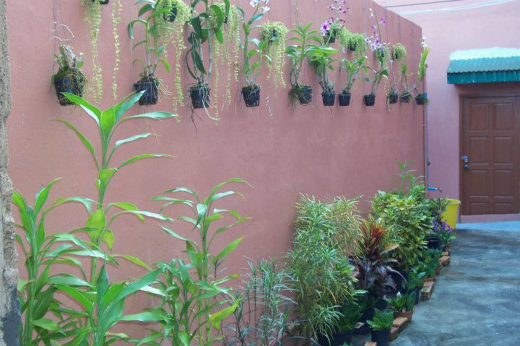 D'S Corner & Guesthouse Phuket Exterior photo